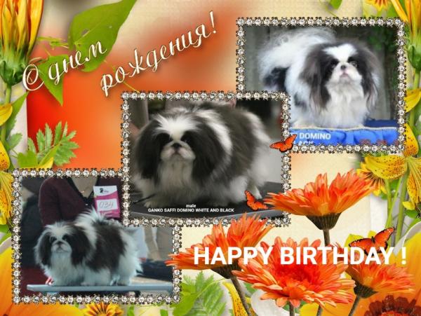 Прикрепленное изображение: 9d6Ku16lr70xAi9AkVXnKJKH2e5O2w2ShQLnm809w9UogfSIMABXTGnjoFWJbH6vpyQI-d5RCCcWPlgP9xWi9JET.jpg